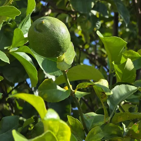 别墅 Il Bacio Del Sole