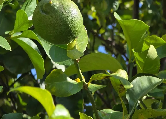 Villa Il Bacio Del Sole
